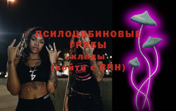spice Алексеевка