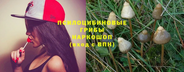 spice Алексеевка